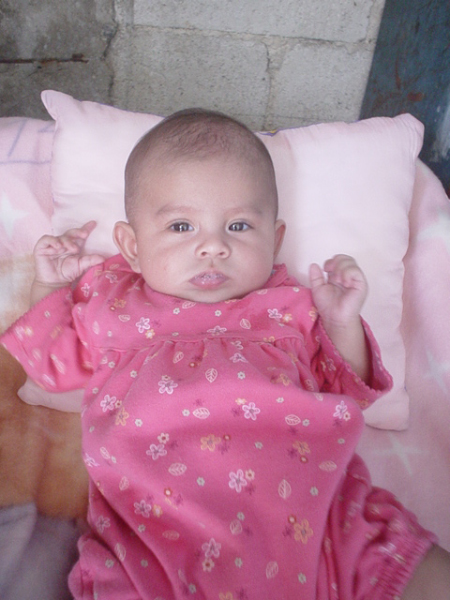 Evie 2